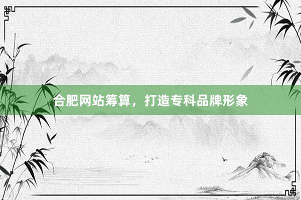 合肥网站筹算，打造专科品牌形象